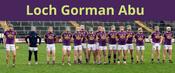 Wexford Hurling Abu image