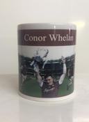 Galway Legend Conor Whelan