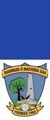 Diarmuid O Mathuna GAA