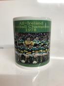 Stock Sale - Kerry 1978 Football Champions