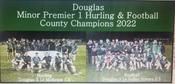 Douglas 2022 The Double Minor County Champions