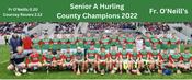 Fr O Neills 2022 County Senior A Hurling Champions