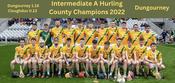 Dungourney 2022 Intermediate A Hurling Champions