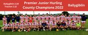 Ballygiblin 2022 County Premier Junior Hurling Champions