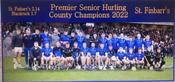 St Finbarrs 2022 County Premier Senior Hurling Champions