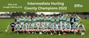 Effin GAA 2021 Intermediate Hurling Champions image