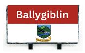 Ballygiblin GAA