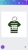 Douglas GAA Jersey Keyring image