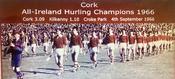 Cork 1966 All-Ireland Hurling Champions