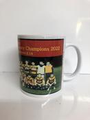Stock Sale - St Colmans 2022 U19 Hurling County Champions Mug image