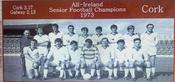 Cork 1973 All-Ireland Football Champions