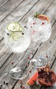 Gin Glass Elegance (pair) image