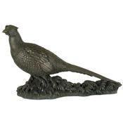 The Pheasent
