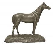 DC Horse