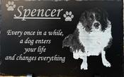 Pet  Memorial image