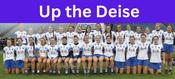 Waterford Camogie Up the Deise