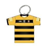 Na Piarsaigh GAA image
