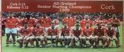Cork 1999 All-Ireland Hurling Champions