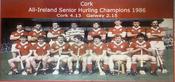 Cork 1986 All-Ireland Hurling Champions