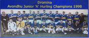 Dromina 1998 Avondhu Junior Hurling Champions