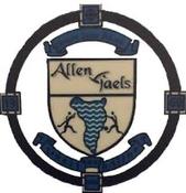 Allen Gaels GAA