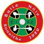 Newcestown GAA