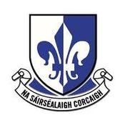 Sarsfields Hurling
