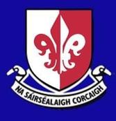 Sarsfields Camogie