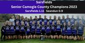 Sarsfields 2023 Senior Camogie County Champions
