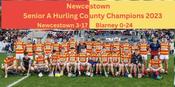 Newcestown 2023 Senior A Hurling County Champions image