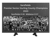 Sarsfields 2023 Premier Senior Hurling Champions Engraved Slate