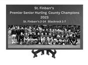 St Finbarrs 2022 Premier Senior Hurling Champions Engraved Slate image