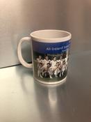 Defect Corner - Waterford 1959 Hurling Champions Mug image