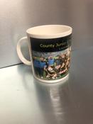 Defect Corner - Lismore 2023 Junior C Football County Champions Large Mug image