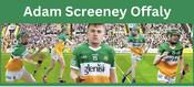 Offaly Adam Screeney