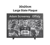 Offaly Adam Screeney Large Engraved Slate