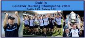 Dublin 2013 Leinster Hurling Champions