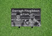 Cork Darragh Fitzgibbon Large Engraved Slate