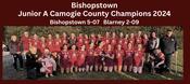 Bishopstown 2024 Junior A Camogie County Champions