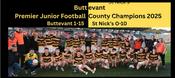 Buttevant 2025 Premier Junior Football Champions image