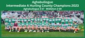 Aghabullogue 2025 Intermediate A Hurling Champions