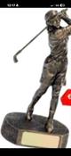 Male golf figure R685 image