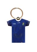 Wicklow GAA Jersey Keyring image