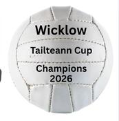 Wicklow 2026 Tailteann Cup Champions Mini Football