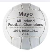 Mayo GAA Mini Football