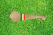 Carlow Mini Hurley