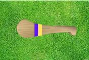 Wicklow Mini Hurley