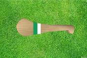Fermanagh Mini Hurley