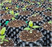 Air Pots- 1, 3,  9, 12.5 and 38 Litre. image