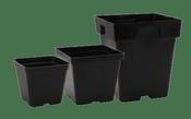 Plastic Square Pots image